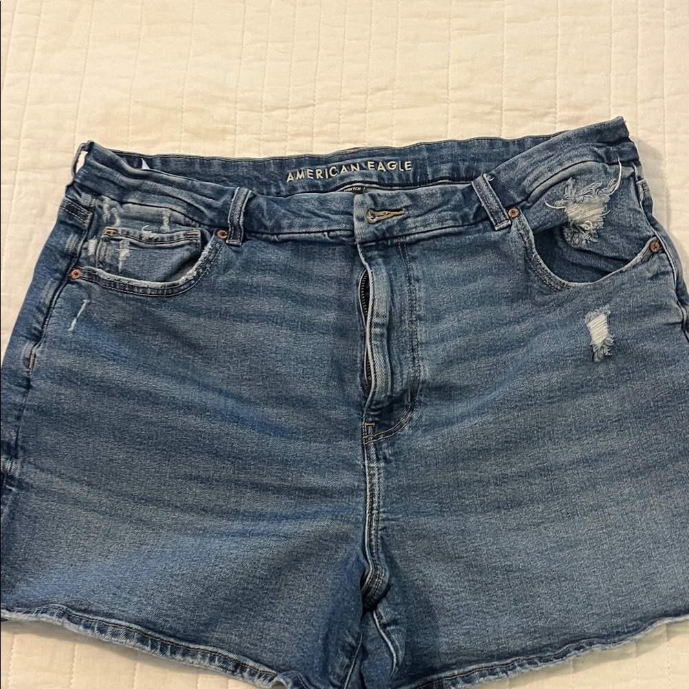 American Eagle Outfitters Blue Jean Shorts